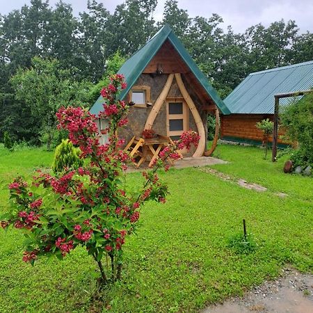 Gazela Bungalov 1 Mojkovac Ngoại thất bức ảnh